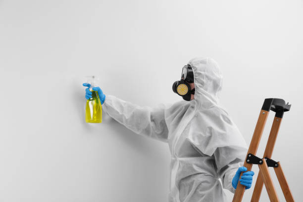 Best Industrial Mold Remediation in Elsmere, DE